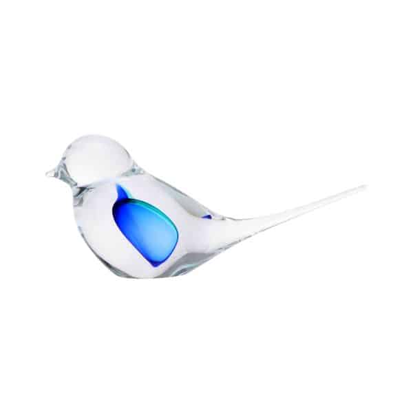 Jan Machalek. Oiseau de Paradis Turquoise & Bleu