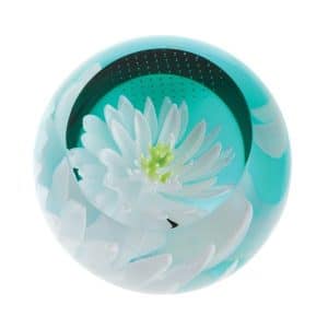 Caithness Glass. Nénuphar