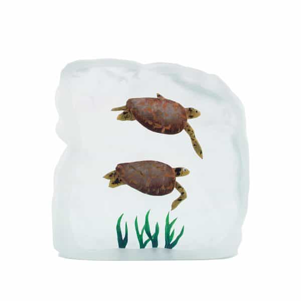 Yves Trucchi. Flaque Tortues