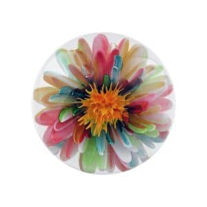 Jorge Mateus. Dahlia Pastel
