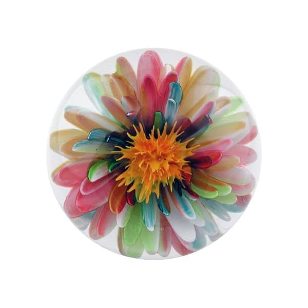 Jorge Mateus. Dahlia Pastel