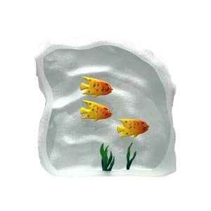 Yves Trucchi. Flaque Jaune-Orange & Algue