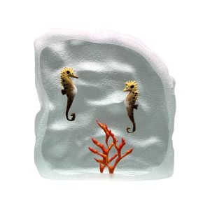 Yves Trucchi. Flaque Hippocampes & Corail
