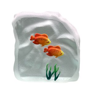 Yves Trucchi. Poissons rouges & Algues