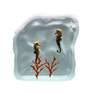 Yves Trucchi. Flaque Hippocampes & Corail