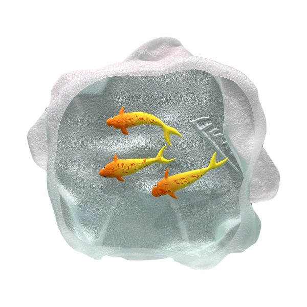 Yves Trucchi. Flaque Poissons Rouges