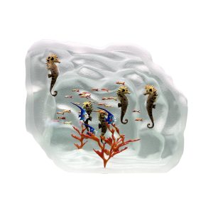 Yves Trucchi. Aquarium Hippocampes & Corail