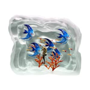 Trucchi. Aquarium Bleu, Hippocampes & Corail