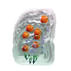 Yves Tucchi. Aquarium Orange, Méduses & Algues