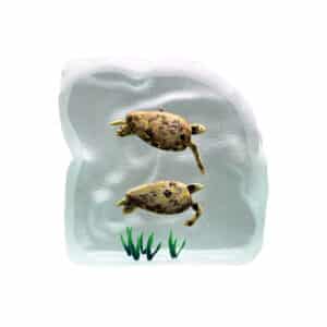 Yves Trucchi. Flaque Tortues