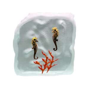 Yves Trucchi. Flaque Hippocampes & Corail