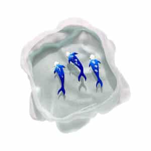 Yves Trucchi. Flaques Poissons Bleus