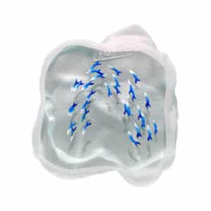 Yves Trucchi. Flaques Sardines