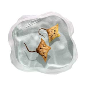 Yves Trucchi. Flaque Raies