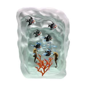 Yves Trucchi. Aquarium Argent & Corail