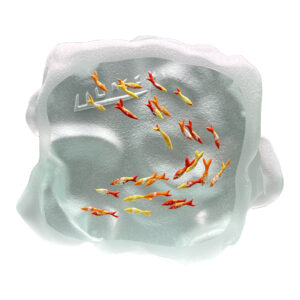 Yves Trucchi. Flaque Poissons Rouges