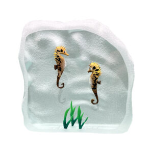 Yves Trucchi. Flaque Hippocampe