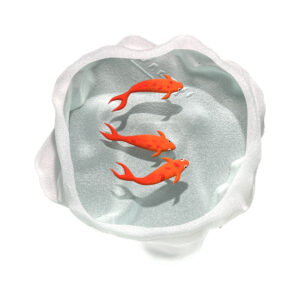 Yves Trucchi. Poissons Rouges