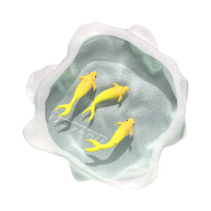 Yves Trucchi. Poissons Jaunes