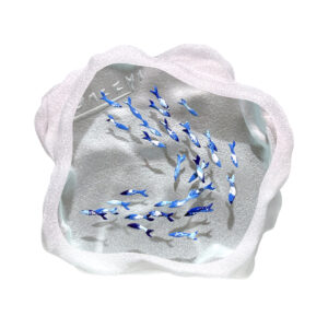 Yves Trucchi. Flaques Sardines