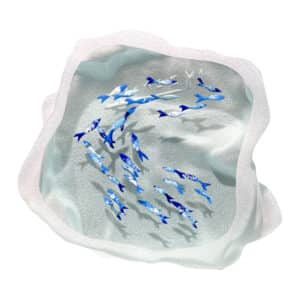 Yves Trucchi. Flaque Sardines