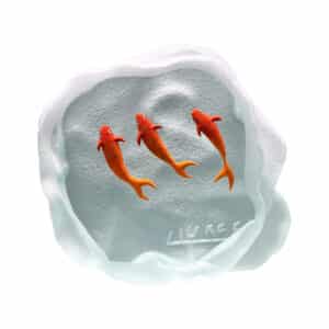 Yves Trucchi. Flaque Poissons Rouges